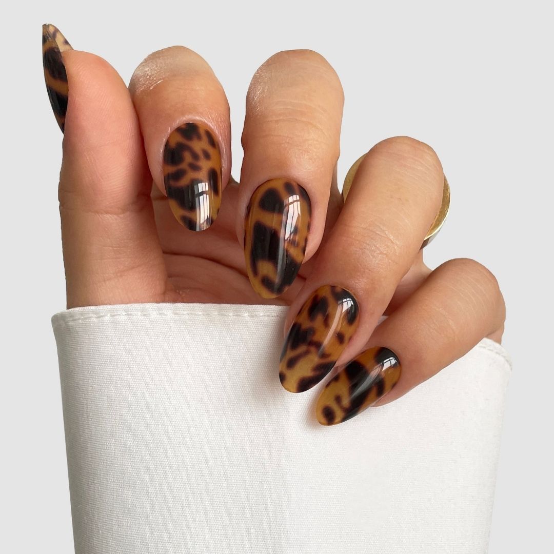 Shell Luxe Gel Wrap