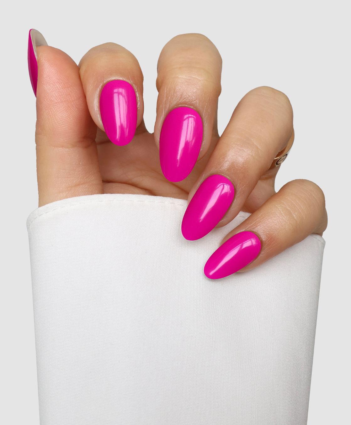 Fuchsia Fever