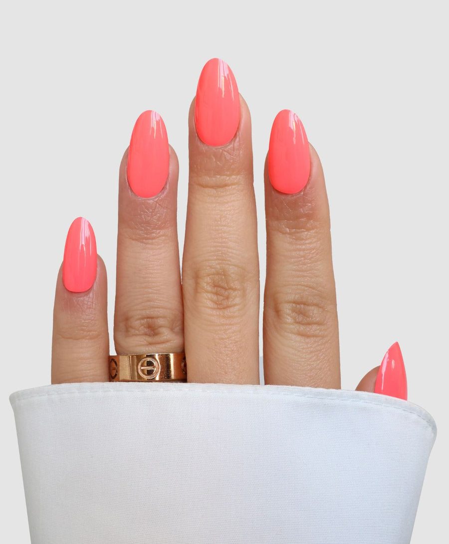 Coral Crush 