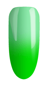 Mint Magic
