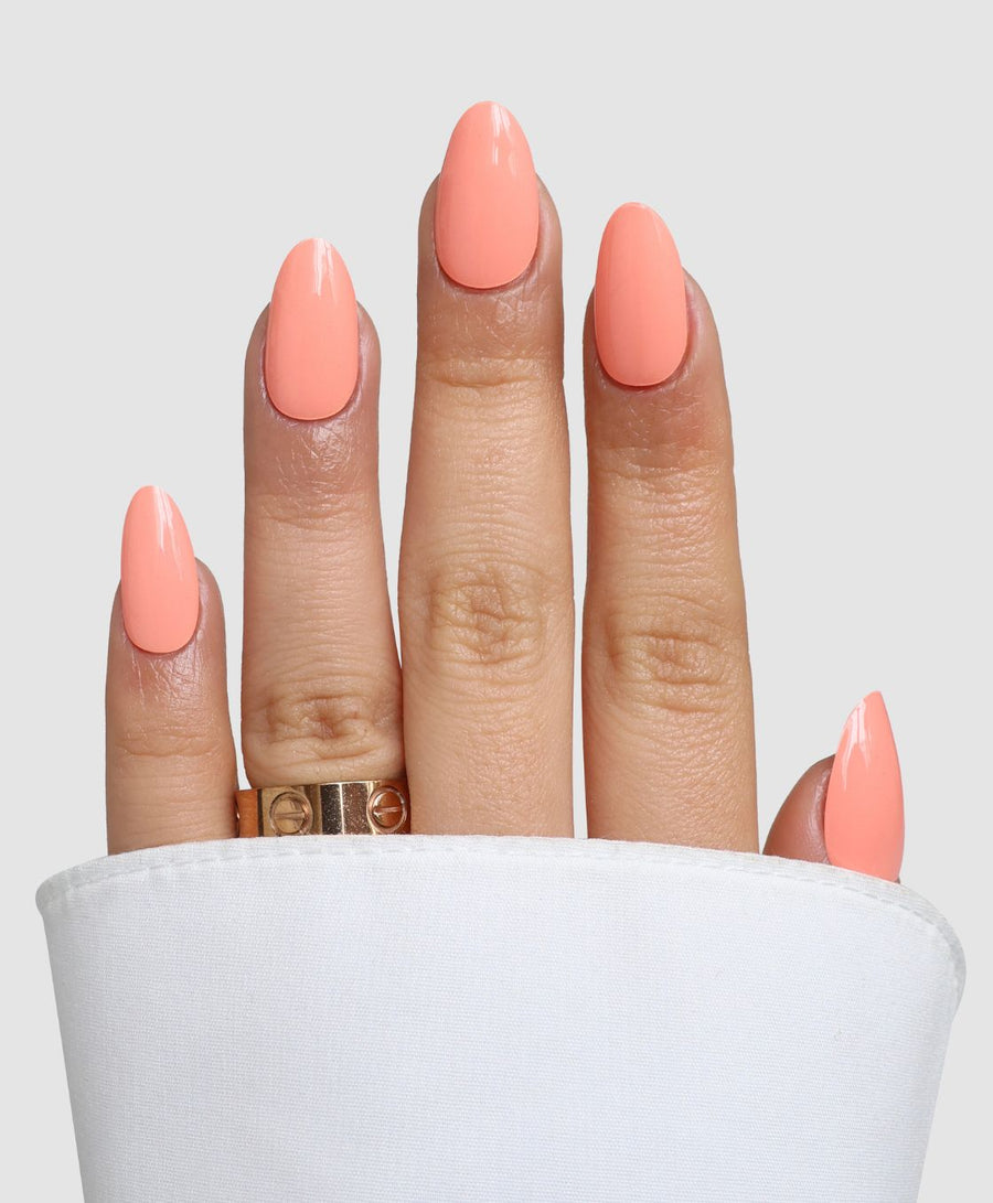 Peach Perfect 