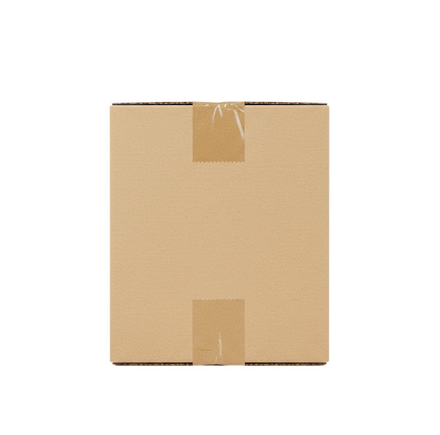 A closed, plain cardboard box sealed with clear tape, photographed against a white background, featuring the Sassy Saints - Brings The Salon Home Free Shipping Price.